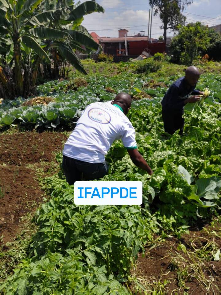 587215244-122260322216241767-5191455396539679763-n