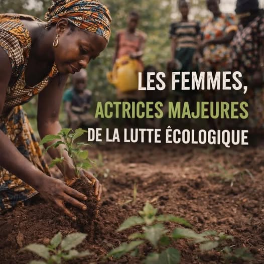 Planter un arbre peut sauver des millions de vies.